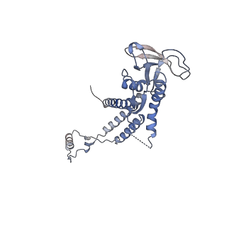 4678_6qyj_0c_v1-1
The cryo-EM structure of the connector of the mature bacteriophage phi29