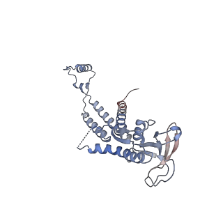 4678_6qyj_0f_v1-1
The cryo-EM structure of the connector of the mature bacteriophage phi29