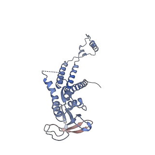 4678_6qyj_0h_v1-1
The cryo-EM structure of the connector of the mature bacteriophage phi29