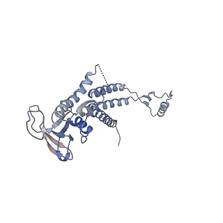 4678_6qyj_0j_v1-1
The cryo-EM structure of the connector of the mature bacteriophage phi29