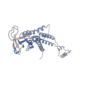4678_6qyj_0k_v1-1
The cryo-EM structure of the connector of the mature bacteriophage phi29