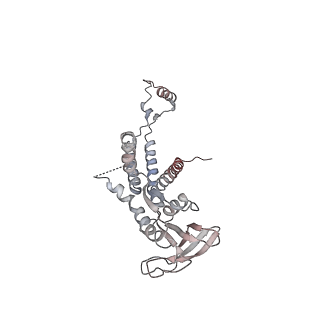4679_6qym_0a_v1-0
The cryo-EM structure of the connector of the genome empited bacteriophage phi29