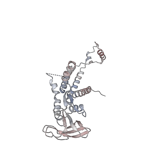 4679_6qym_0b_v1-0
The cryo-EM structure of the connector of the genome empited bacteriophage phi29