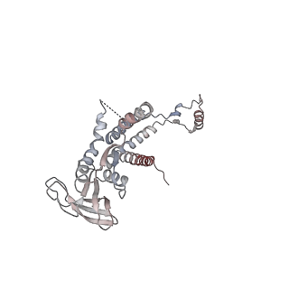 4679_6qym_0c_v1-0
The cryo-EM structure of the connector of the genome empited bacteriophage phi29