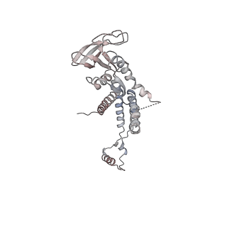 4679_6qym_0g_v1-0
The cryo-EM structure of the connector of the genome empited bacteriophage phi29