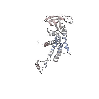 4679_6qym_0h_v1-0
The cryo-EM structure of the connector of the genome empited bacteriophage phi29