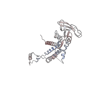 4679_6qym_0i_v1-0
The cryo-EM structure of the connector of the genome empited bacteriophage phi29