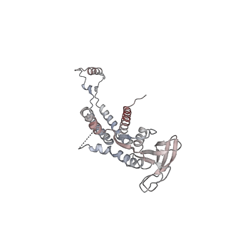4679_6qym_0j_v1-0
The cryo-EM structure of the connector of the genome empited bacteriophage phi29