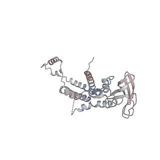 4679_6qym_0k_v1-0
The cryo-EM structure of the connector of the genome empited bacteriophage phi29