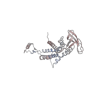 4679_6qym_0l_v1-0
The cryo-EM structure of the connector of the genome empited bacteriophage phi29