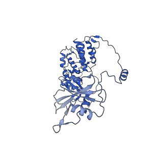 18772_8qz8_A_v1-0
Tilapia Lake Virus polymerase in vRNA pre-termination state (transcriptase conformation)