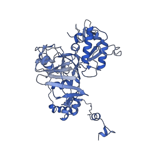 18772_8qz8_C_v1-0
Tilapia Lake Virus polymerase in vRNA pre-termination state (transcriptase conformation)