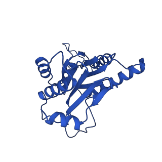 18773_8qz9_A_v1-1
Human 20S proteasome assembly intermediate structure 4