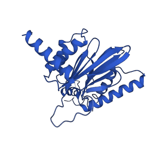 18773_8qz9_B_v1-1
Human 20S proteasome assembly intermediate structure 4