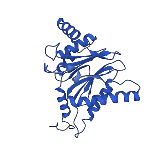 18773_8qz9_C_v1-1
Human 20S proteasome assembly intermediate structure 4