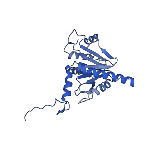 18773_8qz9_D_v1-1
Human 20S proteasome assembly intermediate structure 4