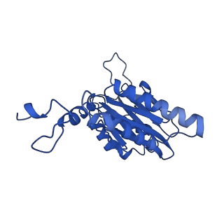 18773_8qz9_E_v1-1
Human 20S proteasome assembly intermediate structure 4