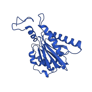 18773_8qz9_F_v1-1
Human 20S proteasome assembly intermediate structure 4