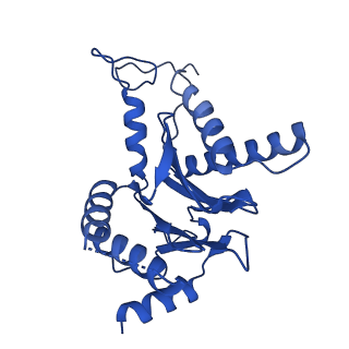 18773_8qz9_G_v1-1
Human 20S proteasome assembly intermediate structure 4