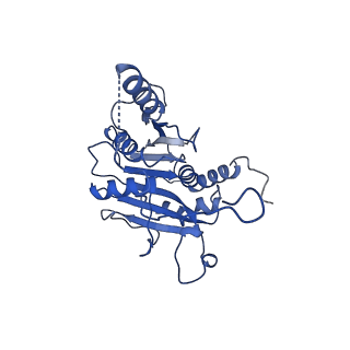 18773_8qz9_I_v1-1
Human 20S proteasome assembly intermediate structure 4