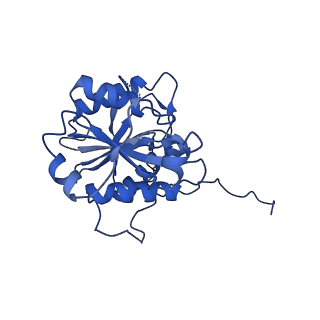 18773_8qz9_J_v1-1
Human 20S proteasome assembly intermediate structure 4