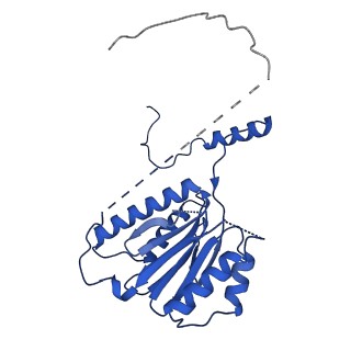 18773_8qz9_K_v1-1
Human 20S proteasome assembly intermediate structure 4