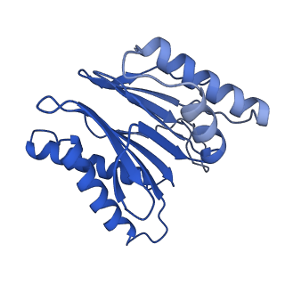 18773_8qz9_M_v1-1
Human 20S proteasome assembly intermediate structure 4