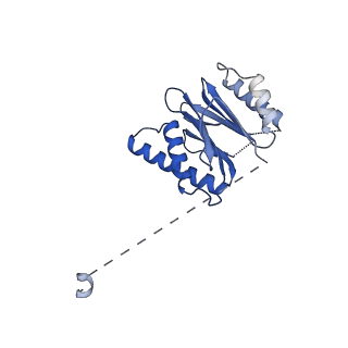 18773_8qz9_N_v1-1
Human 20S proteasome assembly intermediate structure 4