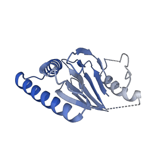 18773_8qz9_O_v1-1
Human 20S proteasome assembly intermediate structure 4