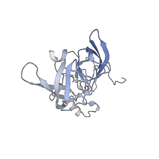 3883_6qzp_LA_v1-0
High-resolution cryo-EM structure of the human 80S ribosome