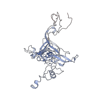 3883_6qzp_LB_v1-0
High-resolution cryo-EM structure of the human 80S ribosome