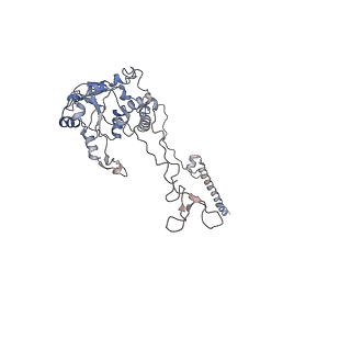 3883_6qzp_LC_v1-0
High-resolution cryo-EM structure of the human 80S ribosome