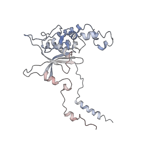 3883_6qzp_LD_v1-0
High-resolution cryo-EM structure of the human 80S ribosome