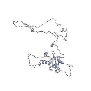 3883_6qzp_LE_v1-0
High-resolution cryo-EM structure of the human 80S ribosome