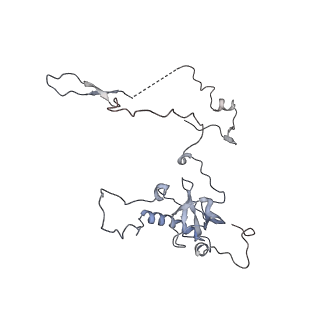 3883_6qzp_LE_v3-0
High-resolution cryo-EM structure of the human 80S ribosome
