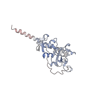 3883_6qzp_LF_v1-0
High-resolution cryo-EM structure of the human 80S ribosome