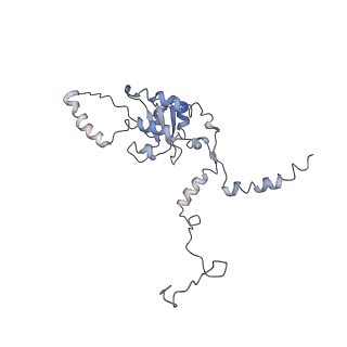 3883_6qzp_LG_v1-0
High-resolution cryo-EM structure of the human 80S ribosome