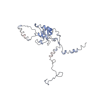 3883_6qzp_LG_v2-1
High-resolution cryo-EM structure of the human 80S ribosome