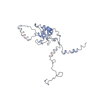3883_6qzp_LG_v3-0
High-resolution cryo-EM structure of the human 80S ribosome