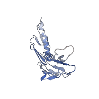 3883_6qzp_LH_v1-0
High-resolution cryo-EM structure of the human 80S ribosome