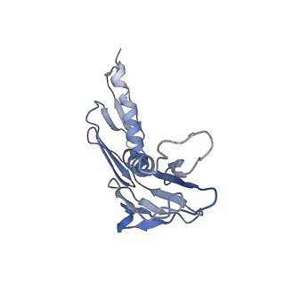 3883_6qzp_LH_v2-1
High-resolution cryo-EM structure of the human 80S ribosome