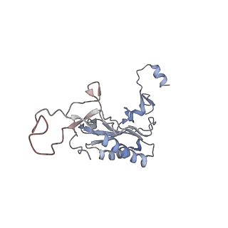 3883_6qzp_LI_v1-0
High-resolution cryo-EM structure of the human 80S ribosome