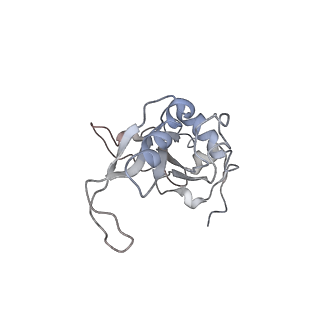 3883_6qzp_LJ_v1-0
High-resolution cryo-EM structure of the human 80S ribosome