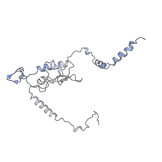 3883_6qzp_LL_v1-0
High-resolution cryo-EM structure of the human 80S ribosome