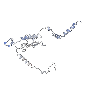 3883_6qzp_LL_v3-0
High-resolution cryo-EM structure of the human 80S ribosome