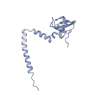 3883_6qzp_LM_v1-0
High-resolution cryo-EM structure of the human 80S ribosome