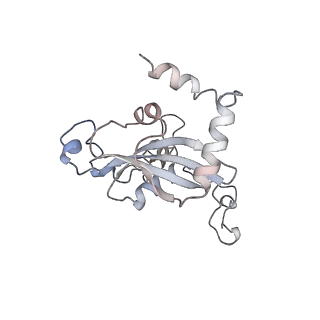3883_6qzp_LN_v1-0
High-resolution cryo-EM structure of the human 80S ribosome