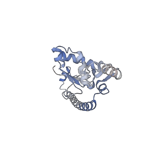 3883_6qzp_LO_v1-0
High-resolution cryo-EM structure of the human 80S ribosome