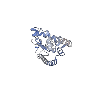 3883_6qzp_LO_v2-1
High-resolution cryo-EM structure of the human 80S ribosome