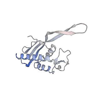 3883_6qzp_LP_v1-0
High-resolution cryo-EM structure of the human 80S ribosome